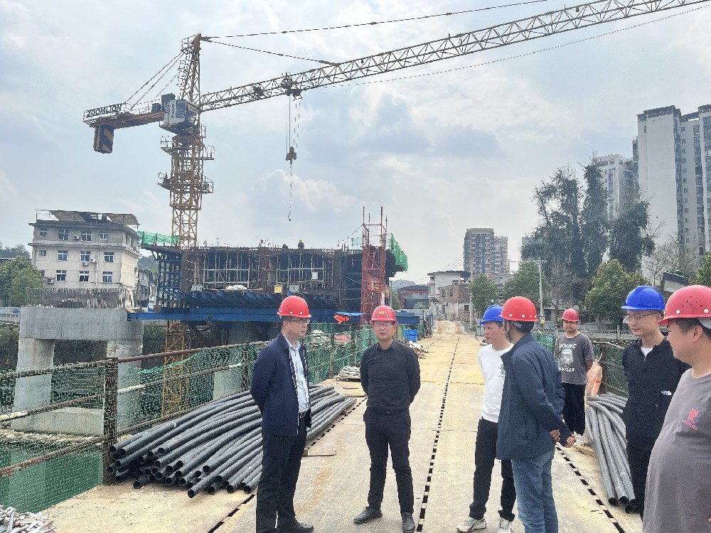 郴州、衡阳片区项目检查4.jpg